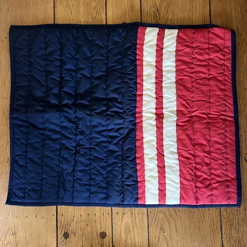 Pottery Barn Teen Racer Stripe Jersey Quilt Sham